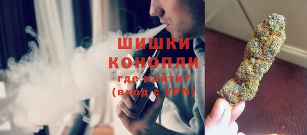 прущие грибы Заволжск