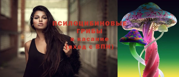 мет Заводоуковск