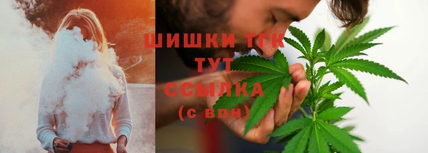прущие грибы Заволжск