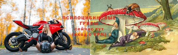 прущие грибы Заволжск