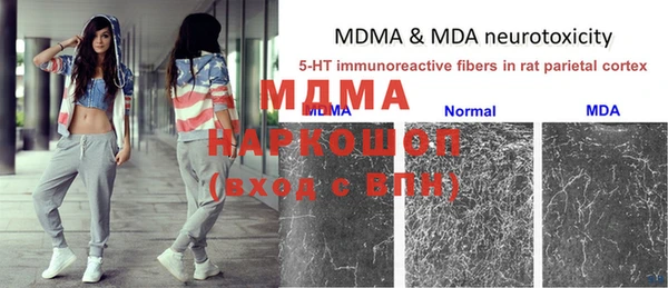 прущие грибы Заволжск