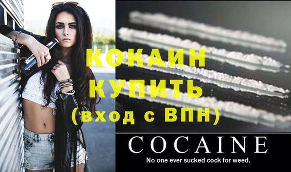 мет Ельня