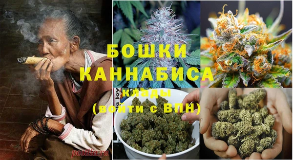 прущие грибы Заволжск