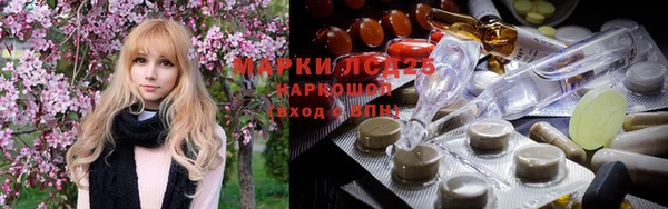 прущие грибы Заволжск