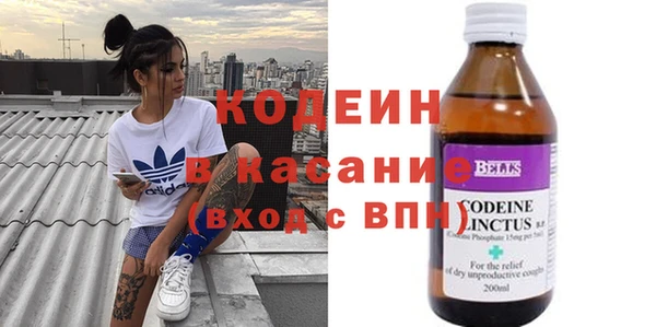 прущие грибы Заволжск