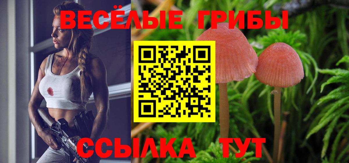 Псилоцибиновые грибы прущие грибы  Вход с VPN  Березники  Псилоцибиновые грибы MAGIC MUSHROOMS 